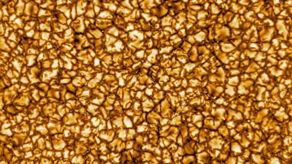 A detailed high-resolution telescopic image of the sun's burning surface showing intricate feather-like plasma patterns and dynamic solar swirls.